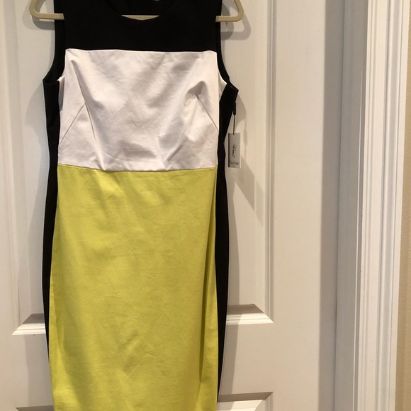 NWT Calvin Klein Colorblock Dress Sz12 - Picture 7 of 7